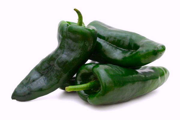 Chile Poblano